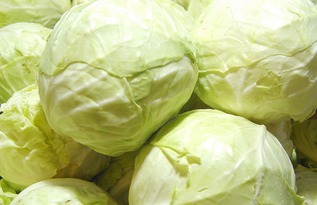 韩国卷心菜娃娃菜风靡，替代大白菜的新风尚