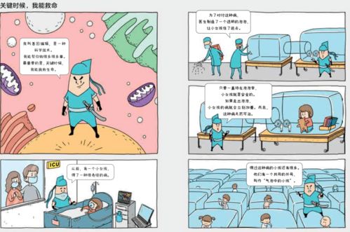 深度解析沅陵租房市场现状及未来趋势——如何在沅陵找到你的理想居所