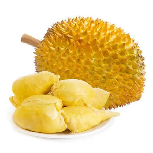 金枕榴莲在云南试种成功，热带水果的新篇章