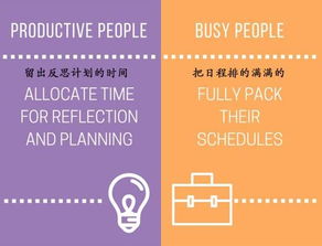 自媒体深度解读交通管理条例，构建安全、高效、绿色的城市交通环境