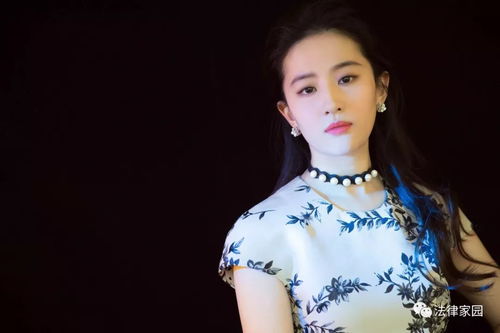 刘亦菲与恩利同框，星光闪耀的瞬间