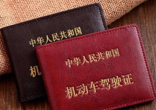 驾校VIP班真的能包过吗？揭秘背后的真相