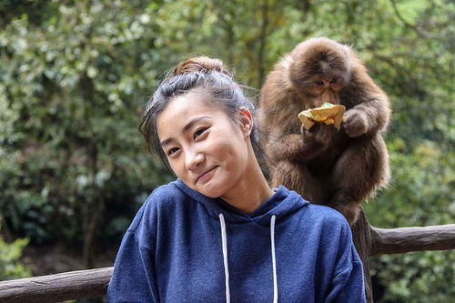 挺秃然的，男子爬山被猴子骑脖摘假发