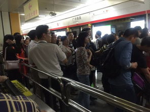 国庆长假，堵车与人的双重困扰