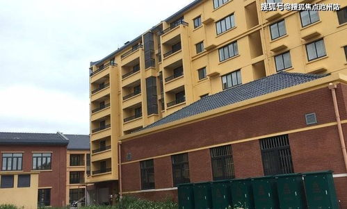 摩托车下乡信息管理系统的全面解析与应用