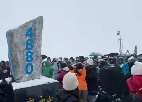 游客因拍照起冲突在景区受气瓶前争吵事件 游客因拍照起冲突在景区受气瓶前争吵事件