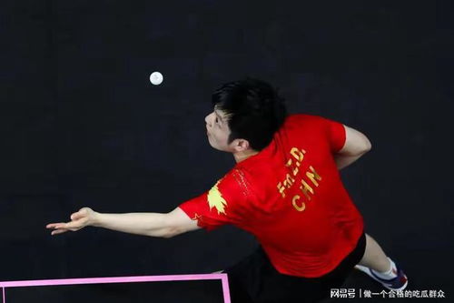 陈幸同钱天一夺冠，荣耀背后的奋斗与坚持