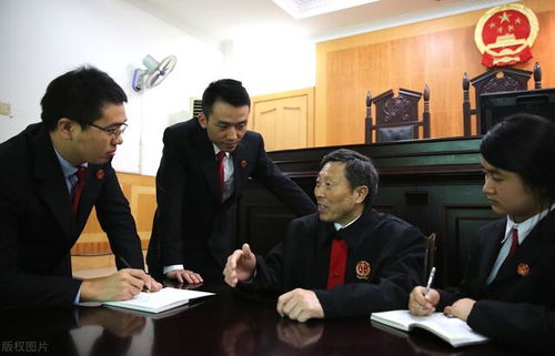 在法律的最前线——一名基层司法助理员的真实生活