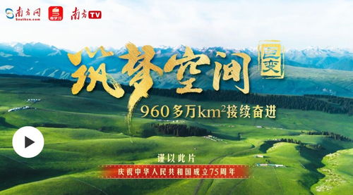 清澈的爱只为中国