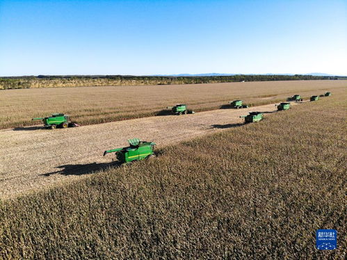 全国秋收近四成，收获的季节与农业发展的思考