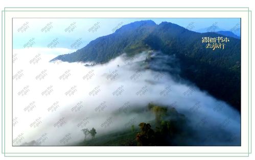 哀牢山深处，监控下的16小时探秘