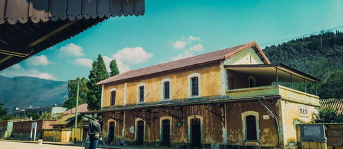 差评之后的隰县小城文旅，一次自我革新的启示