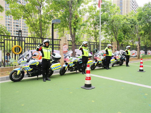 摩托车闯高速被扔锥桶，交通安全与文明驾驶的反思