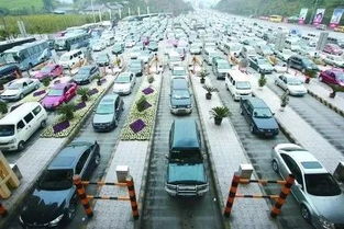 节假日高速公路免费，福利还是拥堵？——从车主与国家角度深度剖析
