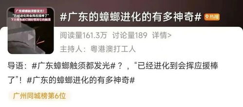 广东蟑螂已进化？疾控部门回应，科学认知与理性应对