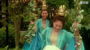 甄嬛传有自己的向佐——一次独特的文化现象探究