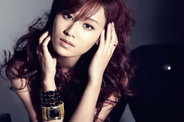 叶一茜维权胜诉，否认重男轻女，倡导平等权益的坚守与胜利