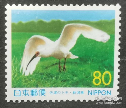 时隔8年日本归还中国16只朱鹮，共筑生态保护新篇章