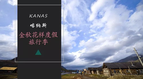 金秋下的金色之路，探寻金砖的奥秘