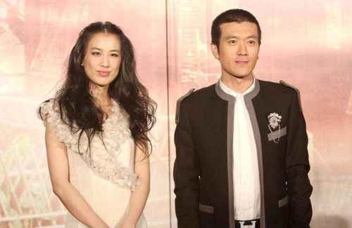 杨子黄圣依到底还有多少财富？