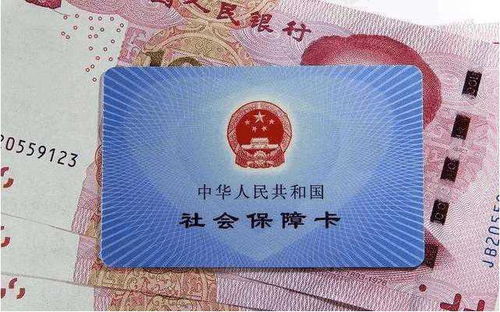 社保最新政策解读，为您的未来保驾护航
