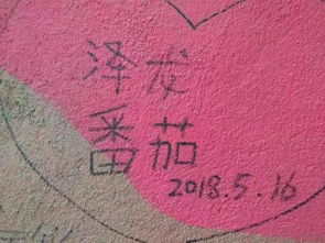 泰山之巅的爱与勇气，小儿麻痹症男友的攀登与当事人的坚定回应