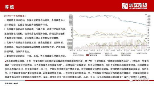 48号文件，解读与影响