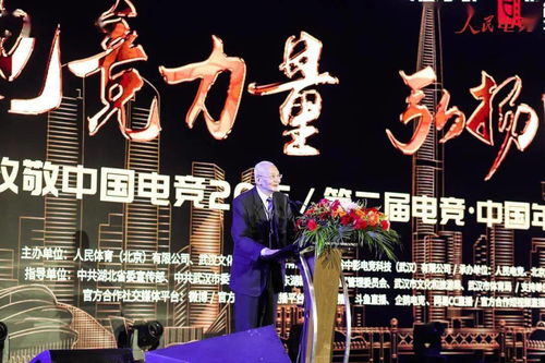王芝琳打破黄雨婷纪录夺冠，荣耀时刻与体育精神的传承