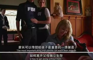 江歌被杀案，一场悲剧背后的复杂人性与社会反思