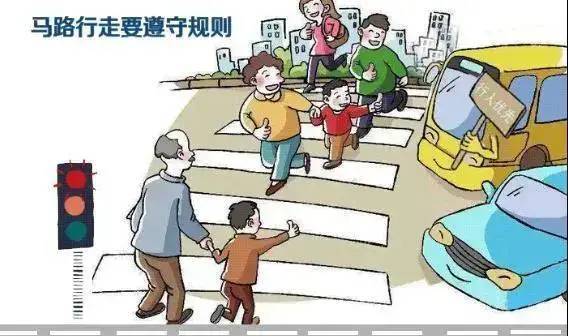 交通法律法规，安全出行的基石