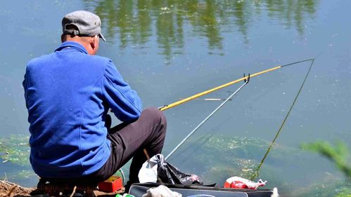 男子夜钓意外钓上一张挂满鱼的网