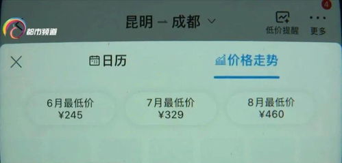 国内机票价格跳水背后的原因与影响分析