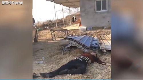 网友徒步发现尸骨，警方迅速介入调查——一起悬疑案件的解析