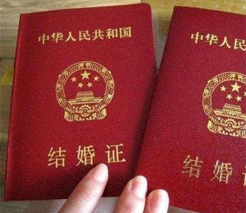 结婚证样本，了解婚姻法律文件的重要组成部分