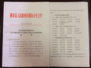 公司的规章制度，打造高效、和谐的工作环境