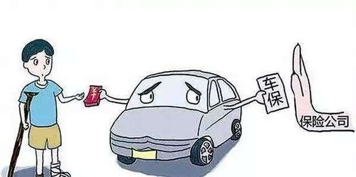 车损险是什么意思