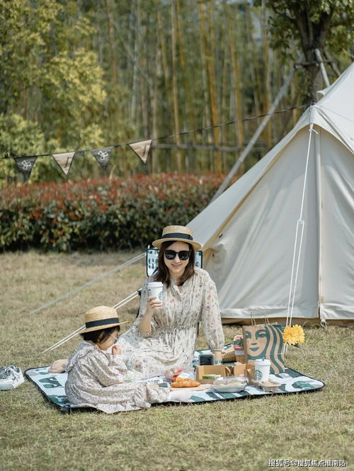 理解背后的原因与寻求解决之道