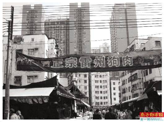 一座城市的记忆与变迁