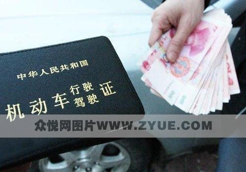 从准备材料到领取证件的全方位指南