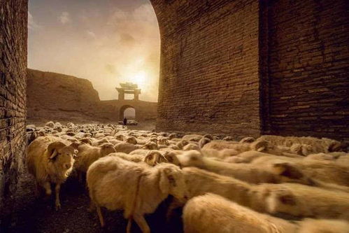 探寻东北游戏文化中的独特记忆