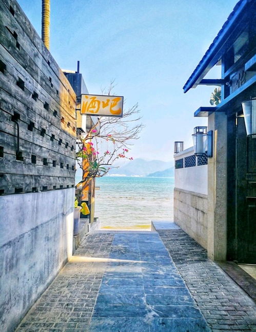 深圳八景之一中英街遭遇海水倒灌被淹的警示与思考