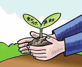 非法经营罪的法律边界与司法实践