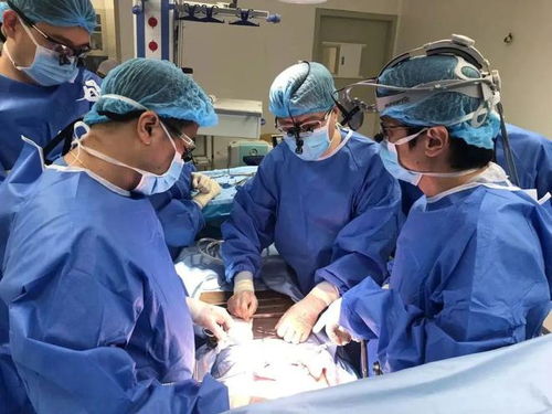 中国成功实现猪肾肝移植，再生医学里程碑