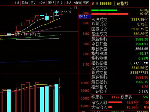 A股大跳水，超4900股下跌背后的市场解析与应对策略