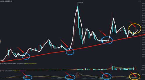 A股接连两日现离奇规律，市场波动下的深度解析