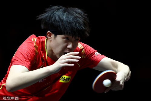 王楚钦与张本智和，争冠之路的探讨