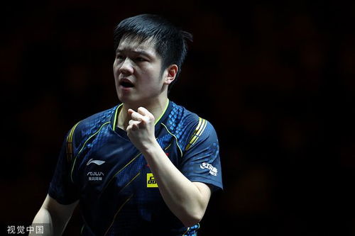王楚钦与张本智和，争冠之路的探讨