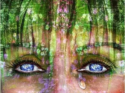 守护环境的数字眼睛