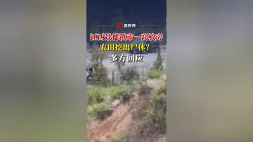高校旁农田惊现尸体，究竟是谁？多方回应引关注
