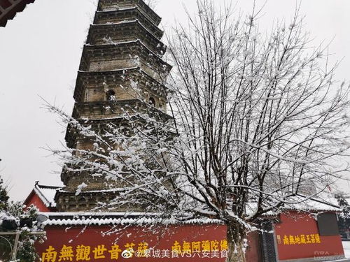 泰山雪景震撼！深度近20厘米达暴雪量级